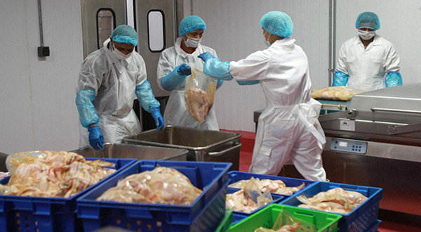 Food packing