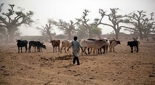 Worst Humanitarian Crisis Hits Africa as Trump Slashes Foreign Aid Worst Humanitarian Crisis Hits Africa as Trump Slashes Foreign Aid