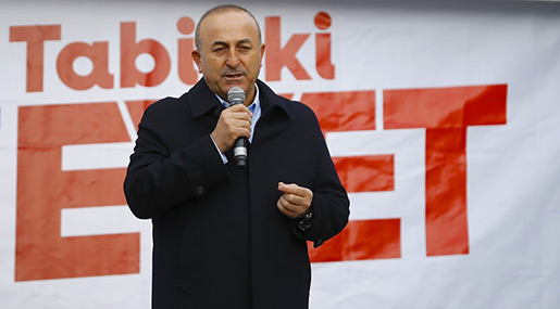 Turkish FM Mevlut Cavusoglu