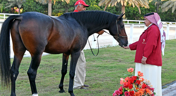 UK's Queen gift to Bahrain's King 