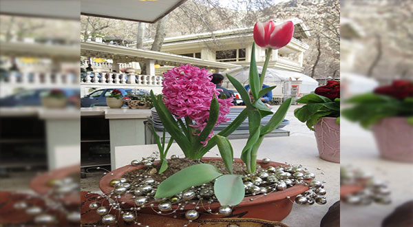 All You Need to Know: Nowruz and the Haft Seen All You Need to Know: Nowruz and the Haft Seen