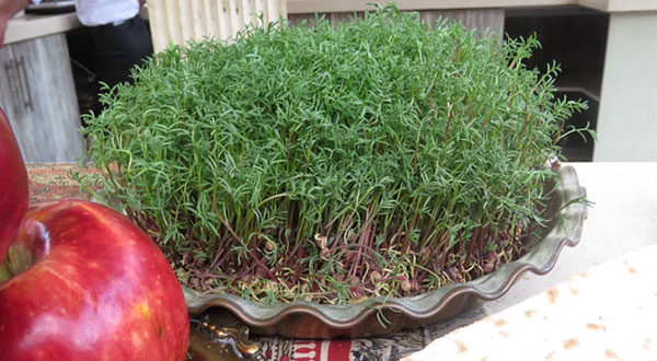 All You Need to Know: Nowruz and the Haft Seen All You Need to Know: Nowruz and the Haft Seen