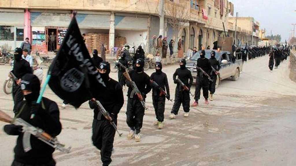Egypt: Terrorist Daesh Leader Killed in Sinai
