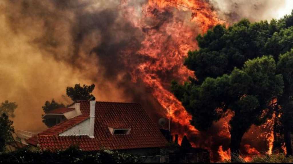 Greece Wildfires: Rescuers Scour Scorched Towns after Fire Kill at Least 74