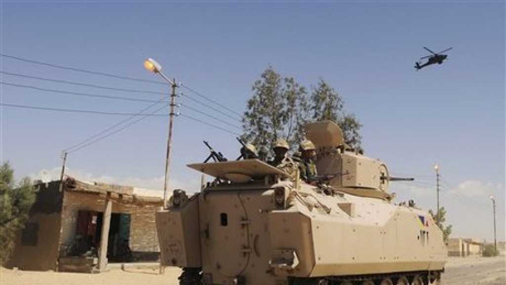 Egypt: 20 Terrorists Killed in Operations