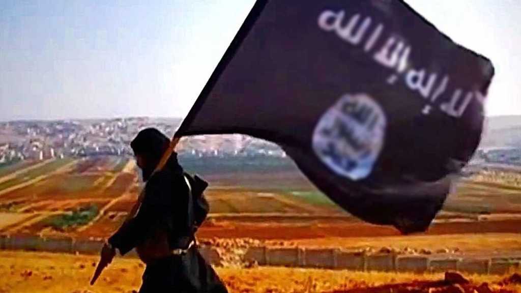 FSB: Daesh Member Detained in Russia