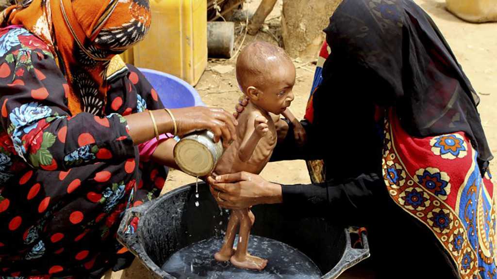 In A Remote District, Starving Yemenis Live Off Leaves
