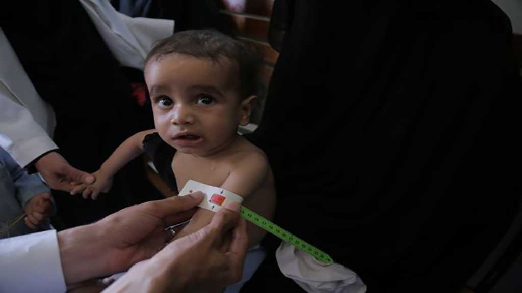 The People of Yemen Are Running For Their Lives – We Just Want the Nightmare of War to End