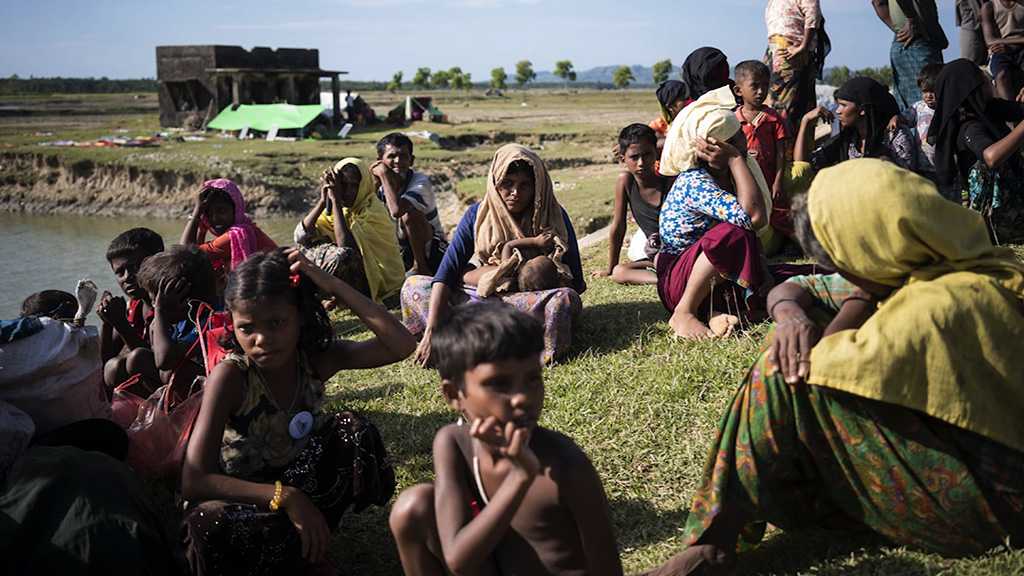 Rights Envoy: Myanmar «Unwilling» to Probe Rohingya Abuse, UN Must Act