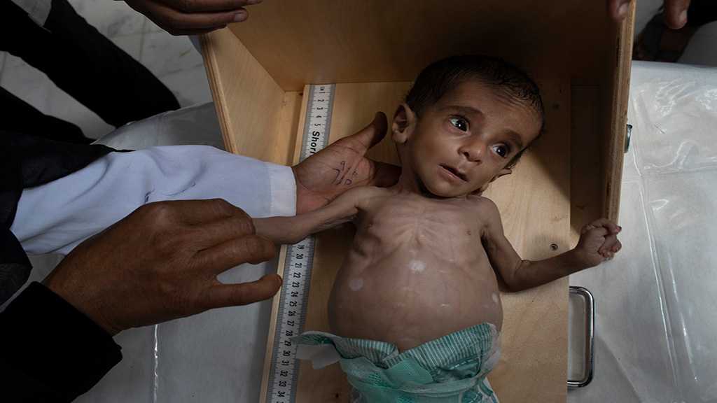 The Tragedy of Saudi Arabia’s War on Yemen