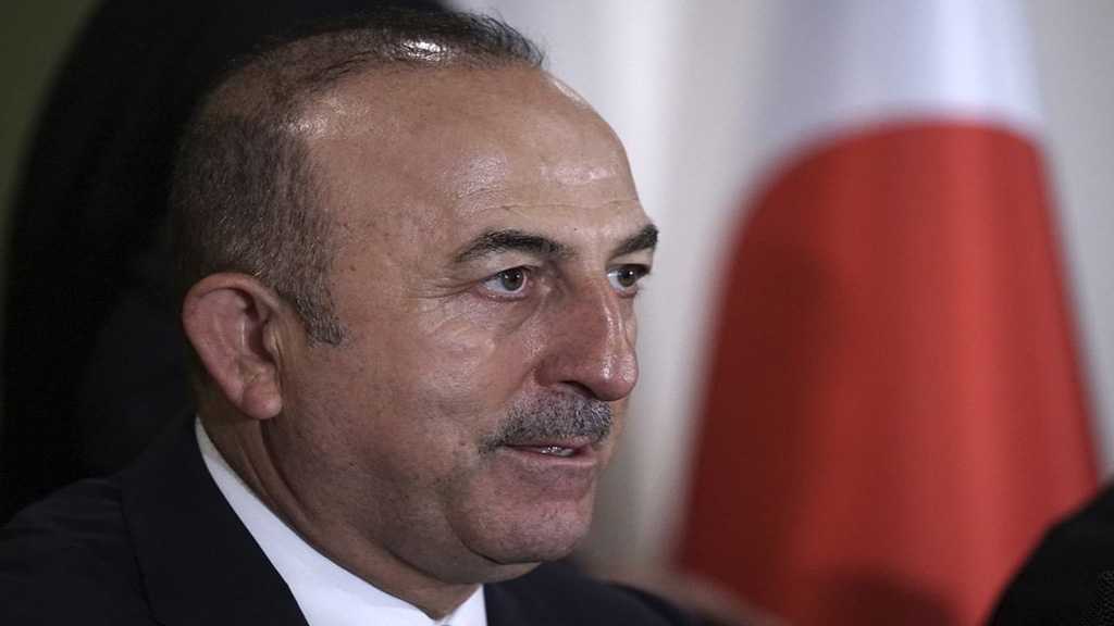 Turkish FM Calls US Sanctions on Iran Unwise, Dangerous