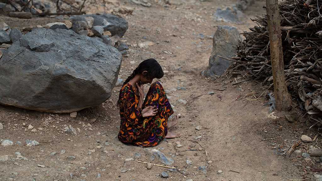 In Yemen, Lavish Meals for Few, Starvation for Many and a Dilemma for Reporters