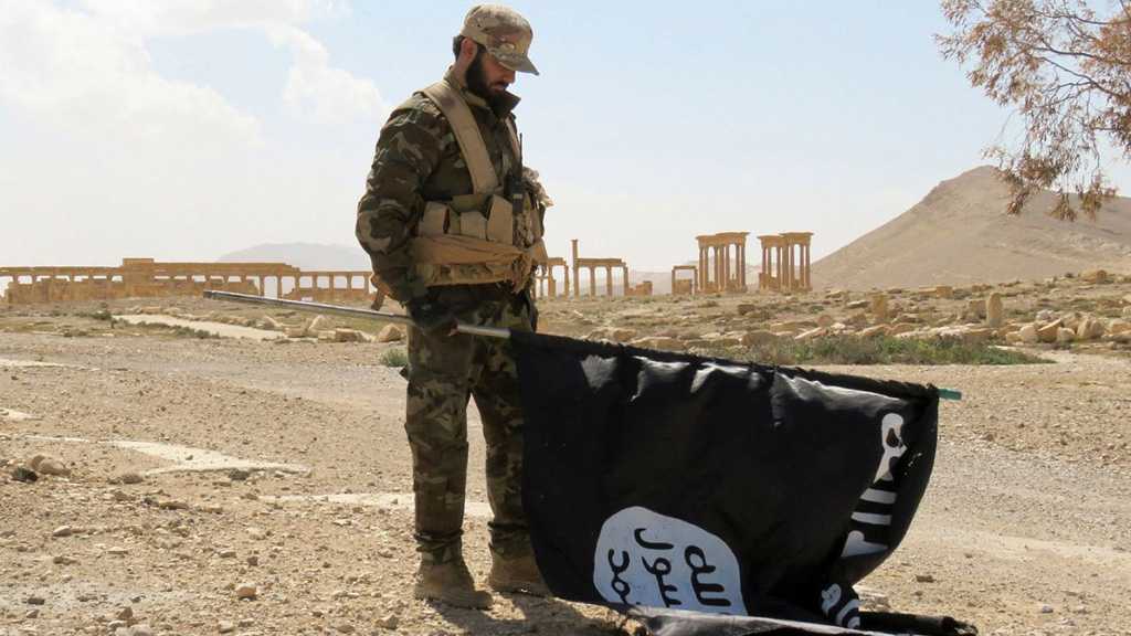 Australian Defense Chiefs Expect Daesh Defeat in Syria within Days or Weeks