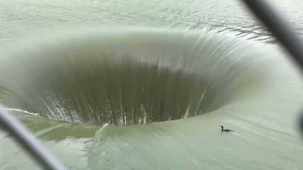 Duck Sucked by Lake Berryessa ’Glory Hole’ Sparks Debate over Its Survival