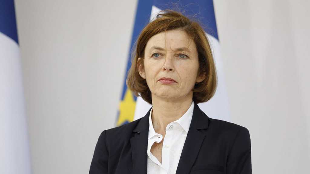France ’Will Strike Syria Again if Necessary’