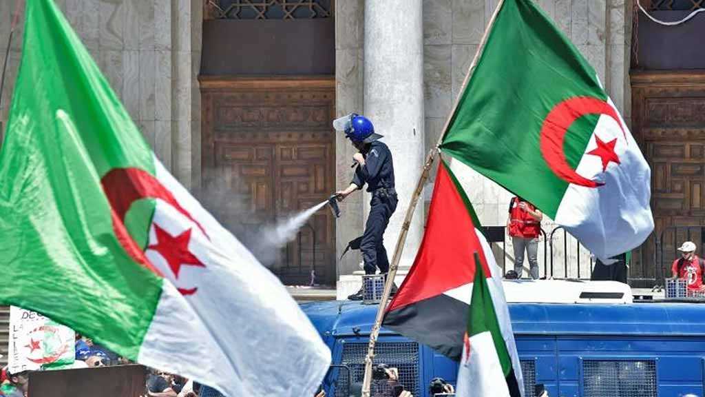 Algeria Riot Police Step Aside in Face of Protesters
