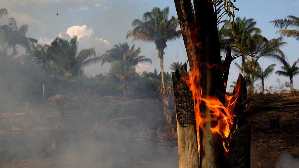 Amazon Wildfires: Brazil, France Clash over Burning Rainforest