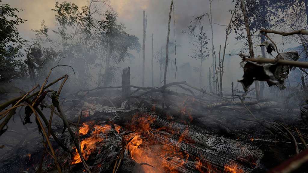 Bolsonaro Bans Land-clearing Fires in Amazon for 60 Days