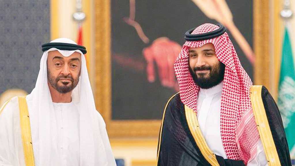 NYT: MBZ’s Biggest Concern Was Wahhabism
