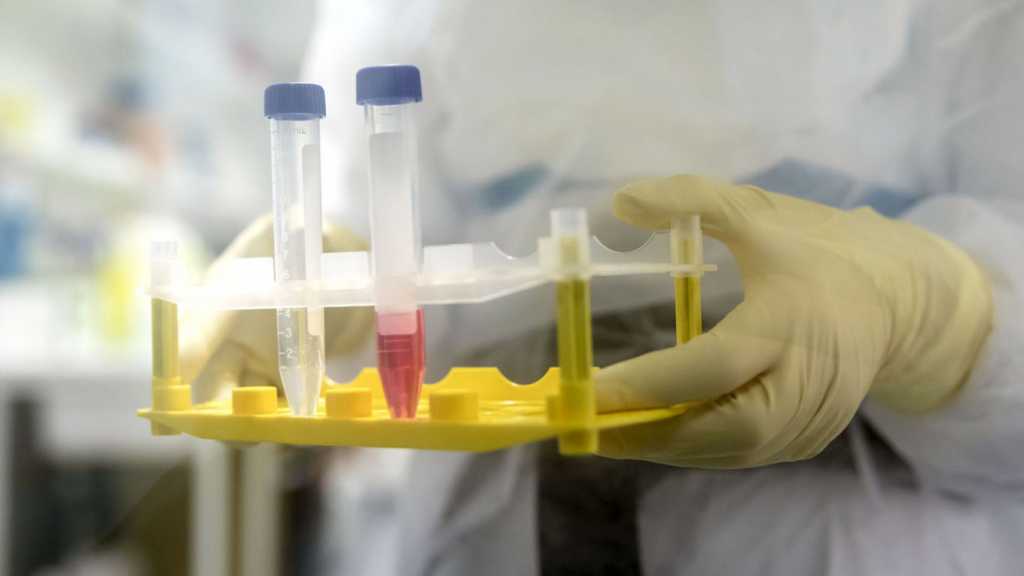 Japanese Pharma Firms to Begin Testing New Coronavirus Vaccine on Animals