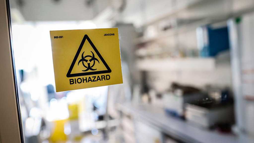 Beijing on Probe into COVID-19 Origins: China Has Always Been Open to Cooperation with WHO