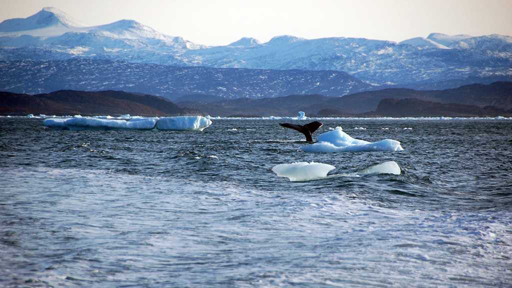 China Hits Back at US Allegations of ’Predatory Interests’ in Arctic