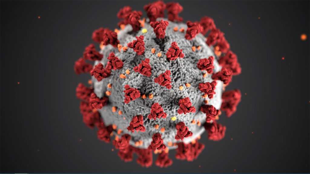 World Covid-19 Cases Reach 16.9 Million