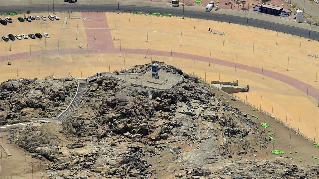 Pilgrims Pray on Peak Day of Hajj