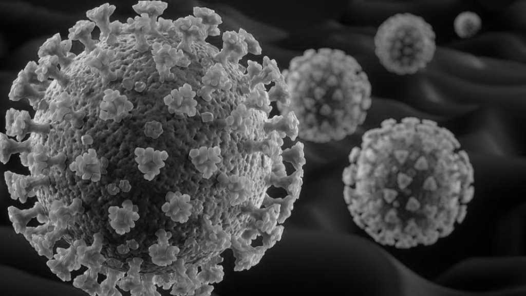 Australian Study Reveals Where Coronavirus Can Survive Best