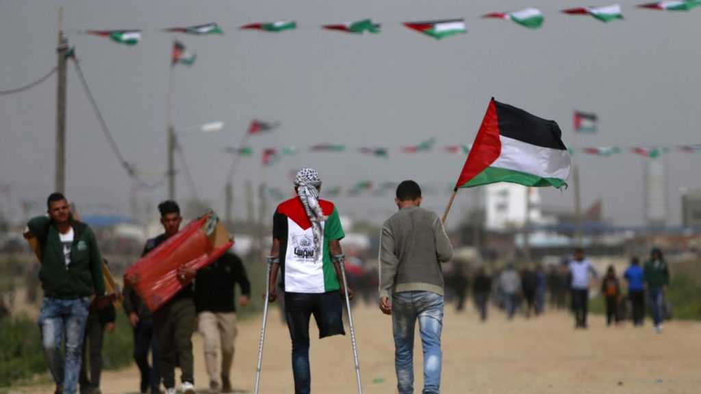 Life in Gaza ‘Extraordinarily Difficult’ For the Disabled - HRW