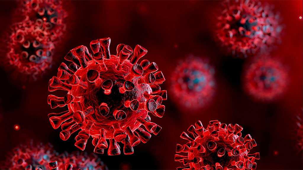 China Blocks Entry to WHO Team Studying Covid-19 Origins