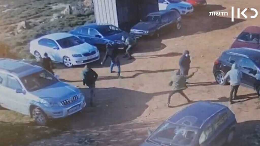 New Type of Terrorism: “Israeli” Settlers Vandalize Palestinian Cars in WB