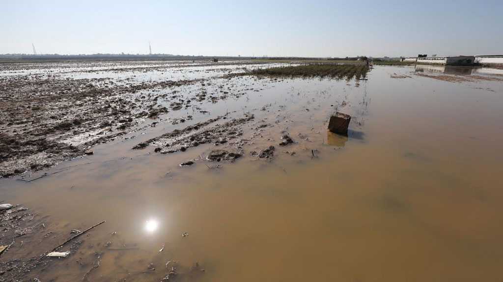 Mother of Terrorism: “Israel” Floods Palestinian Farmlands in Gaza with Rainwater