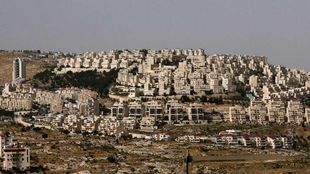 European Lawmakers Urge Action against ‘Israeli ’De-facto Annexation’