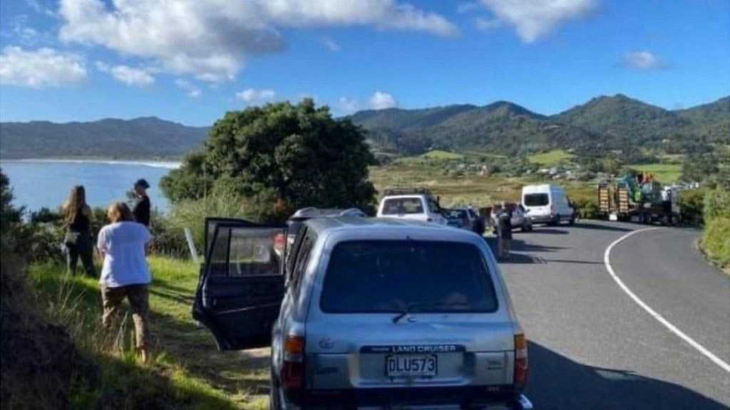 Residents of New Zealand’s North Island Allowed to Return Home after Tsunami Alert