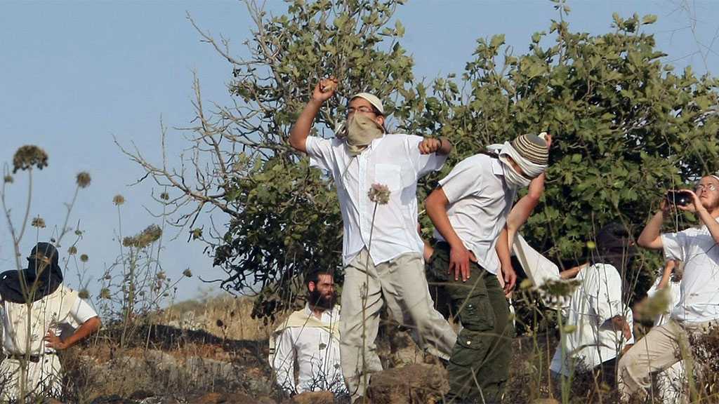 “Israeli” Settlers Forming Terrorist Cells to Attack Palestinians 