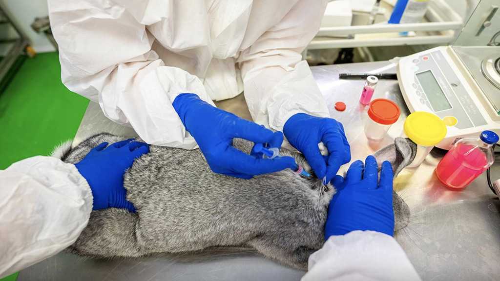 Agricultural Watchdog: Russia Registers World’s First COVID-19 Vaccine for Animals