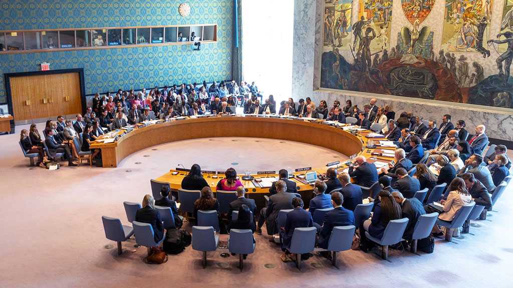 Libya: UN Security Council Approves Ceasefire Monitors