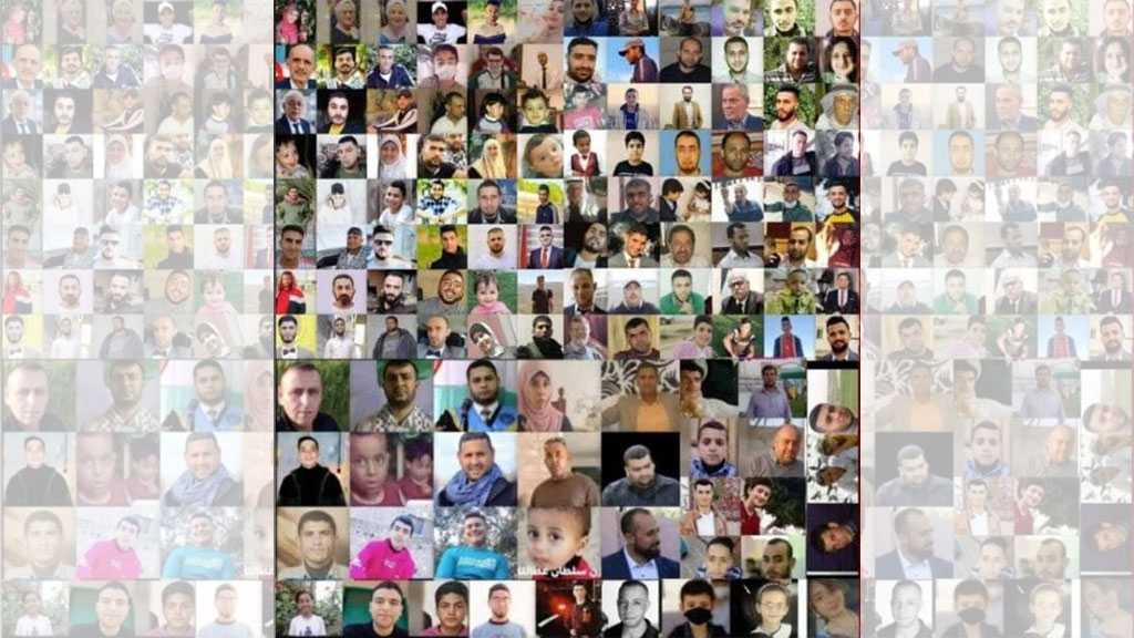Gaza Toll Hits 234 Martyrs as Ceasefire Enters into Effect