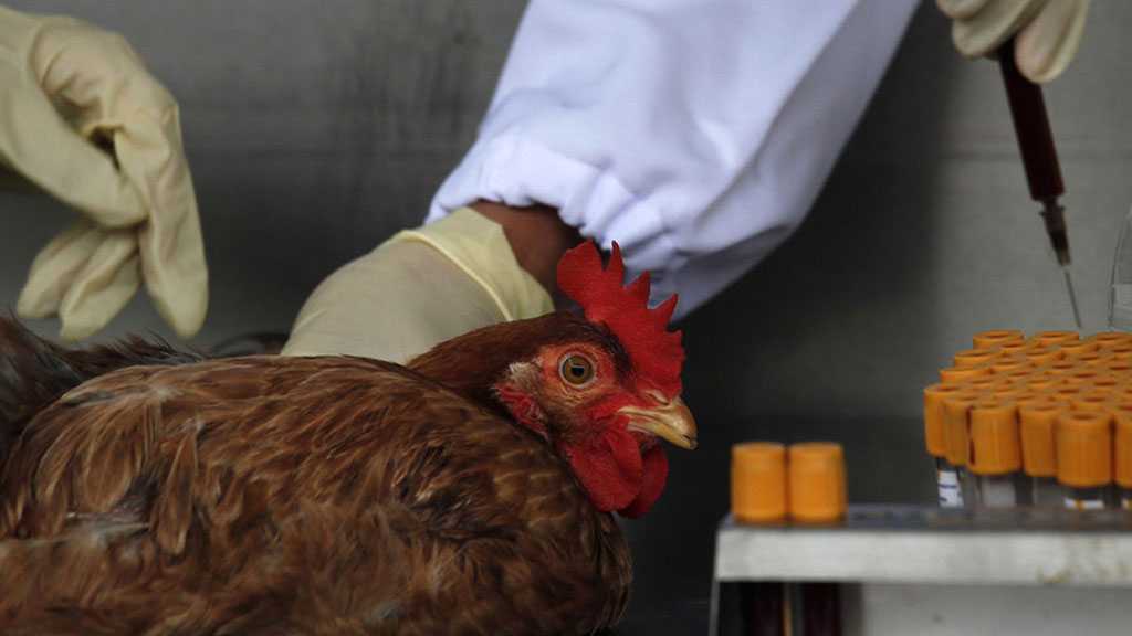 China Records World’s 1st Case of Human Infection with H10N3 Bird Flu 