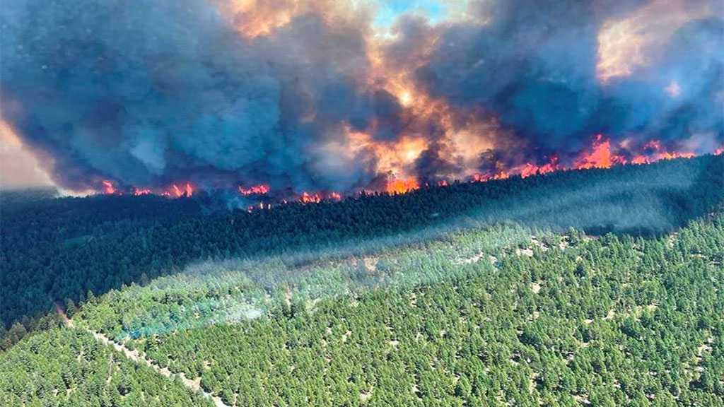 Heat Waves Cause More Than 480 Sudden Deaths in Canada