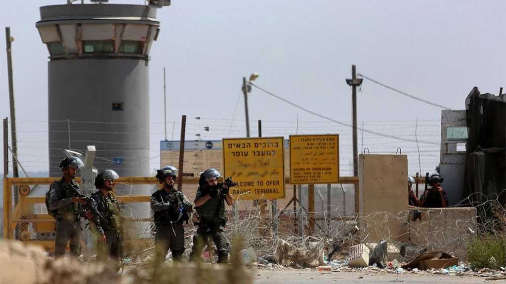 Five Palestinian Detainees on Open-ended Hunger Strike as Last-ditch Protest Bid