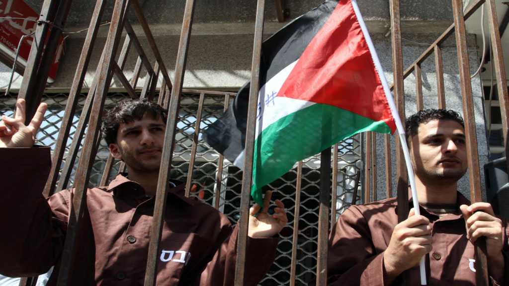 Sixteen Palestinian Detainees on Hunger Strike to Protest Zionist ‘Administrative Detention’