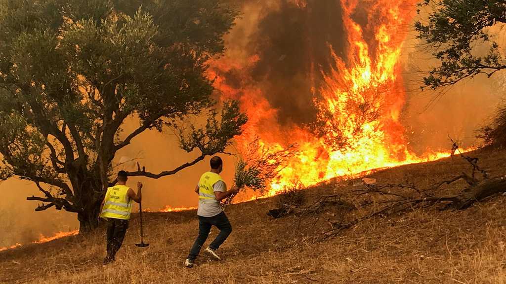 Algeria Arrests 22 Suspected Arsonists over Deadly Blazes