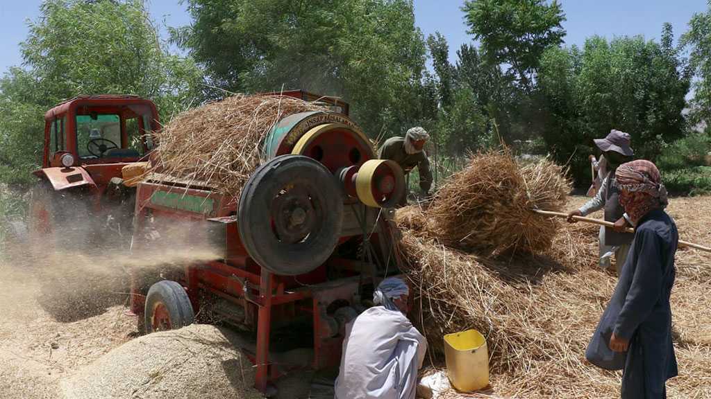 Taliban ‘Forcibly Evicting’ Hazaras, Opponents in Afghanistan