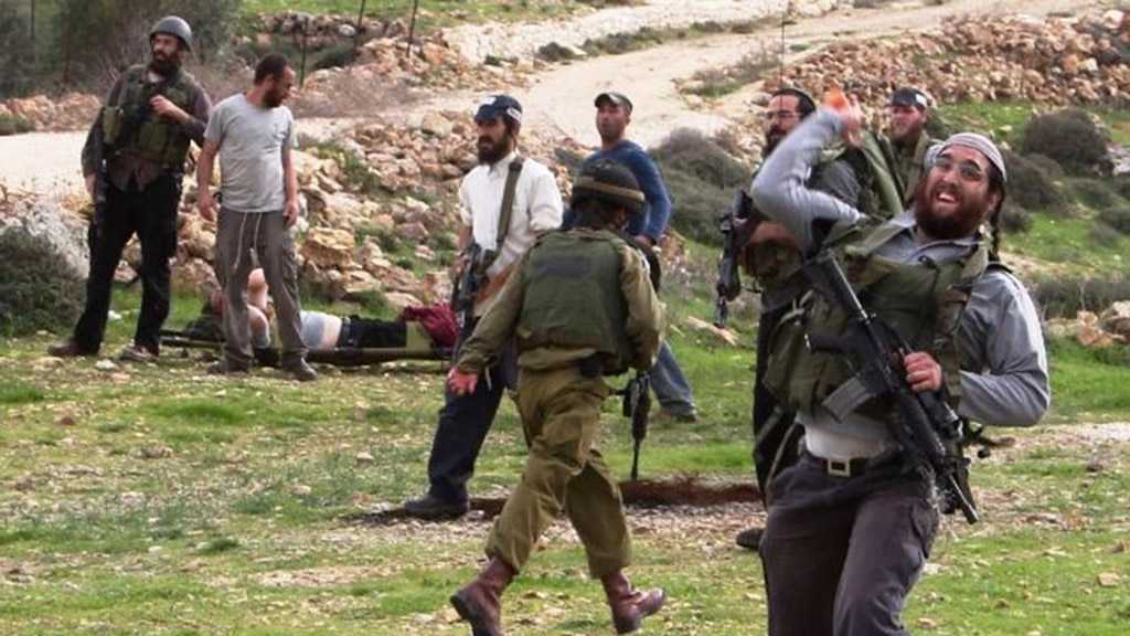 145 NGOs Urge UN to Provide Protection to Palestinians against “Israeli” Settlers’ Attacks