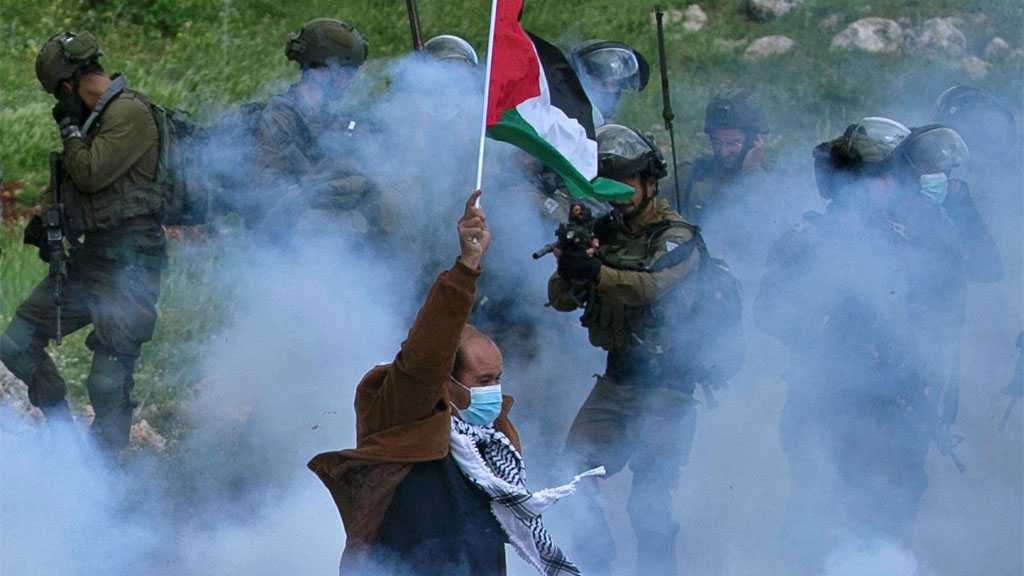 Al-Naqab Resists: ‘Israeli’ Occupation Forces Arrest 41 Palestinians As Protests Rage On