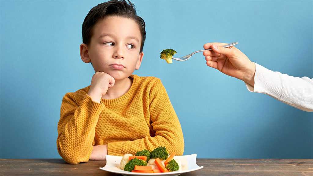 Post-COVID Outcome Could Change Kids’ Gastronomic Tastes Completely - Study