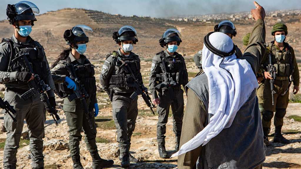 Nearly 3k Americans Sign Petition, Demand End to “Israel’s” Ethnic Cleansing in Al-Naqab