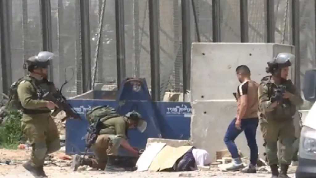 Sabateen Family: IOF “Cold-bloodedly” Murdered Unarmed Palestinian Mother of Six